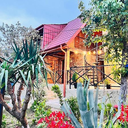 Villa Sunshine House à Koutaïssi Extérieur photo